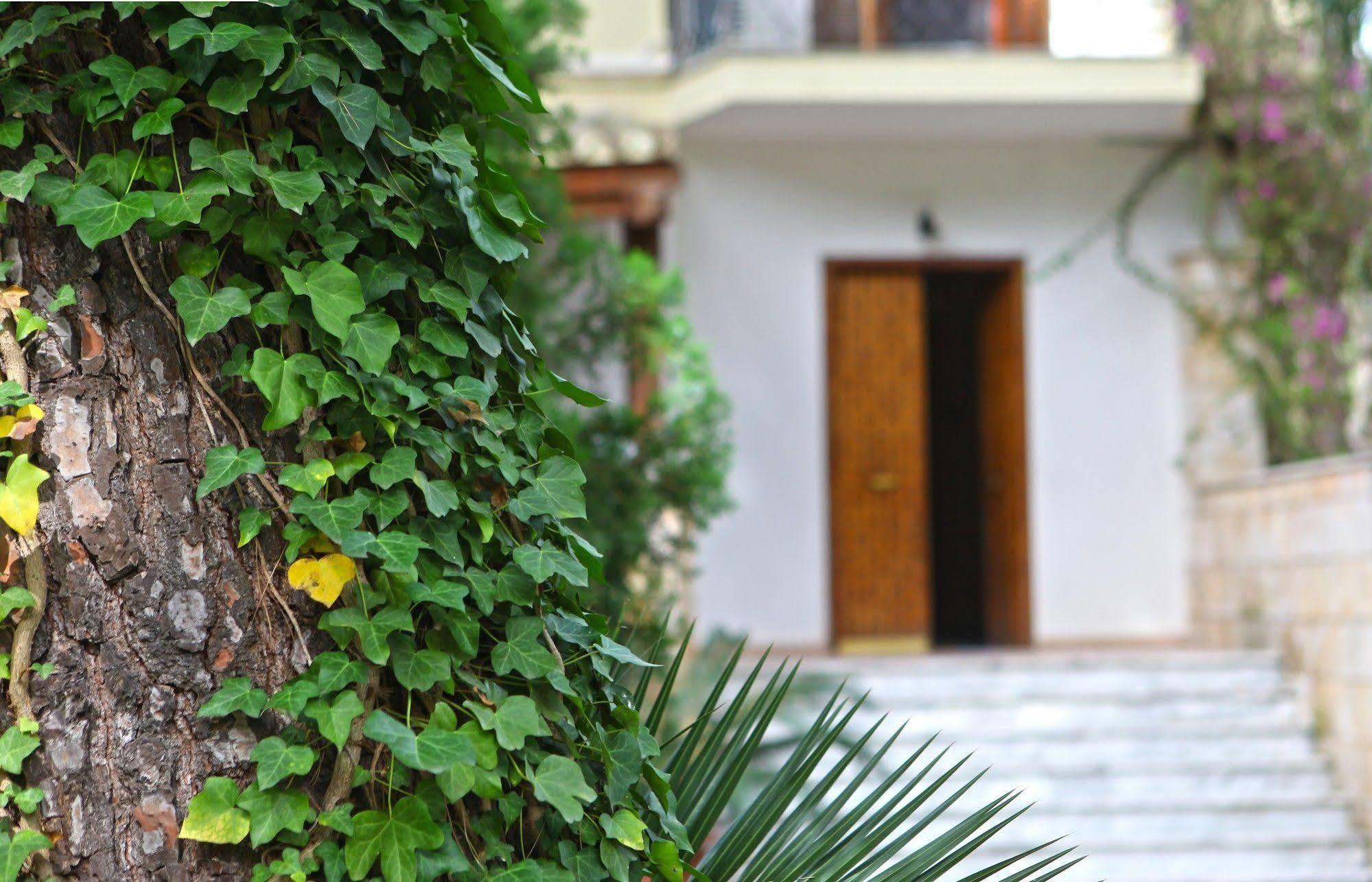 B&B Viale Dei Pini Castellaneta Marina Exteriér fotografie
